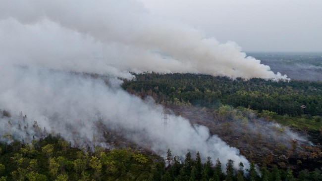 Why Kalimantan Suffers Severe Forest Fires, According to Researchers