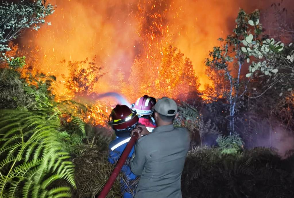 Two Forest and Land Fires Occur in a Single Day in Penajam Paser Utara