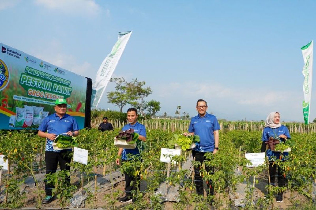 PT Petrokimia Gresik encourages farmers to boost chilli productivity
