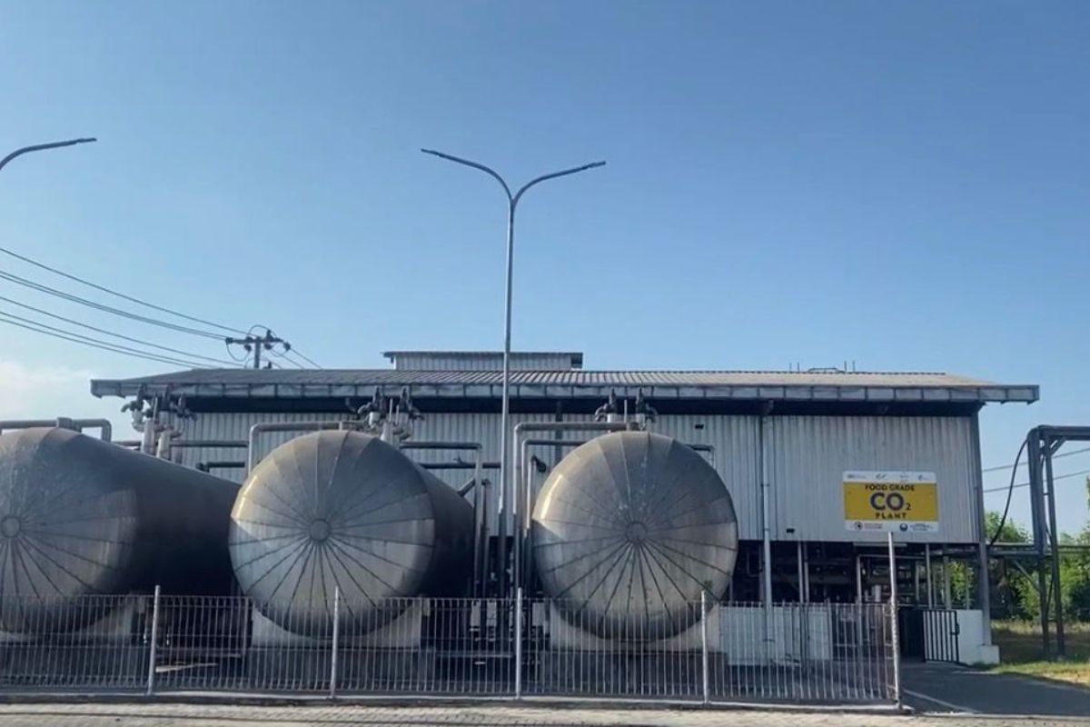 Kemdiktisaintek and Pertamina develop bioethanol from oil palm empty fruit bunches