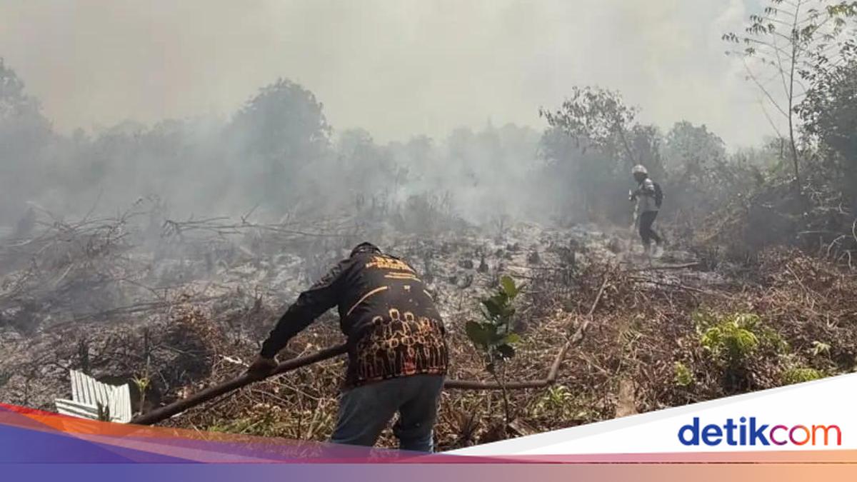 Distant Water Sources Hamper Forest and Land Fire Suppression in East Kotawaringin, Central Kalimantan