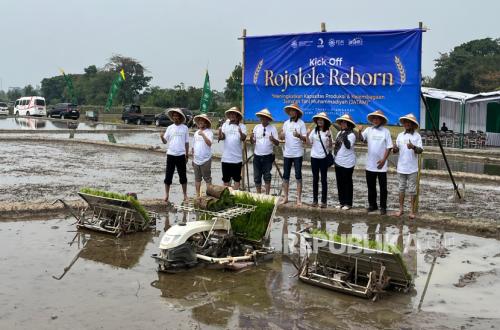 Muhammadiyah Kicks Off 'Rojolele Reborn' to Revive Klaten's Legendary Rice