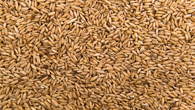 Black Sea Becomes a War Zone, Global Wheat Supply in Danger Zone