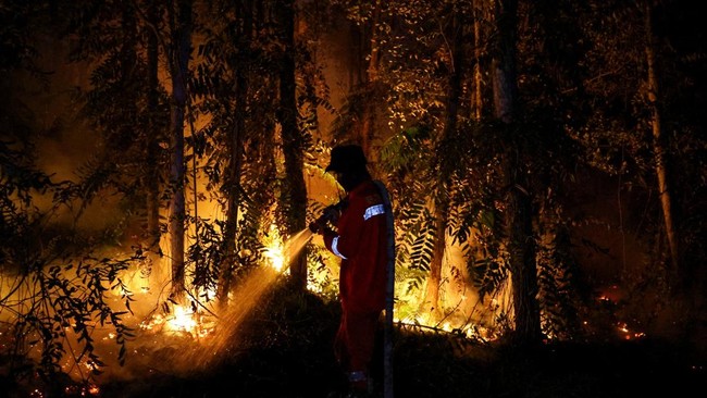 Severe Forest Fires Engulf Kalimantan, BNPB Responds