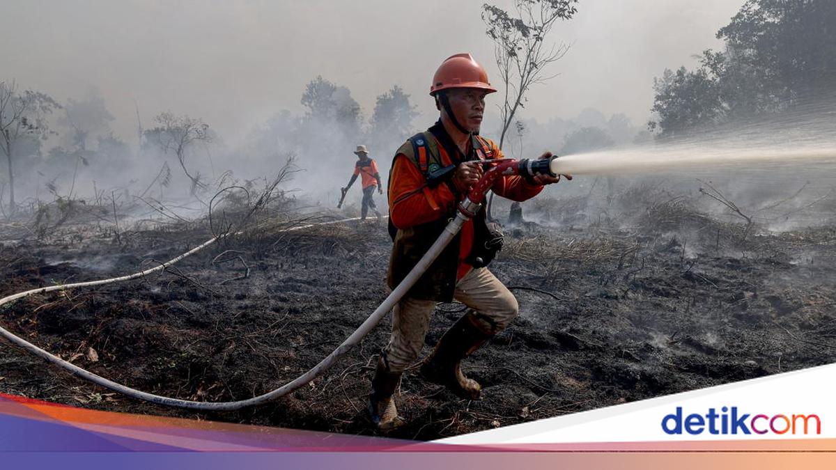 Hotspots in Kalimantan Reach 1,487 Points, Central Kalimantan the Highest