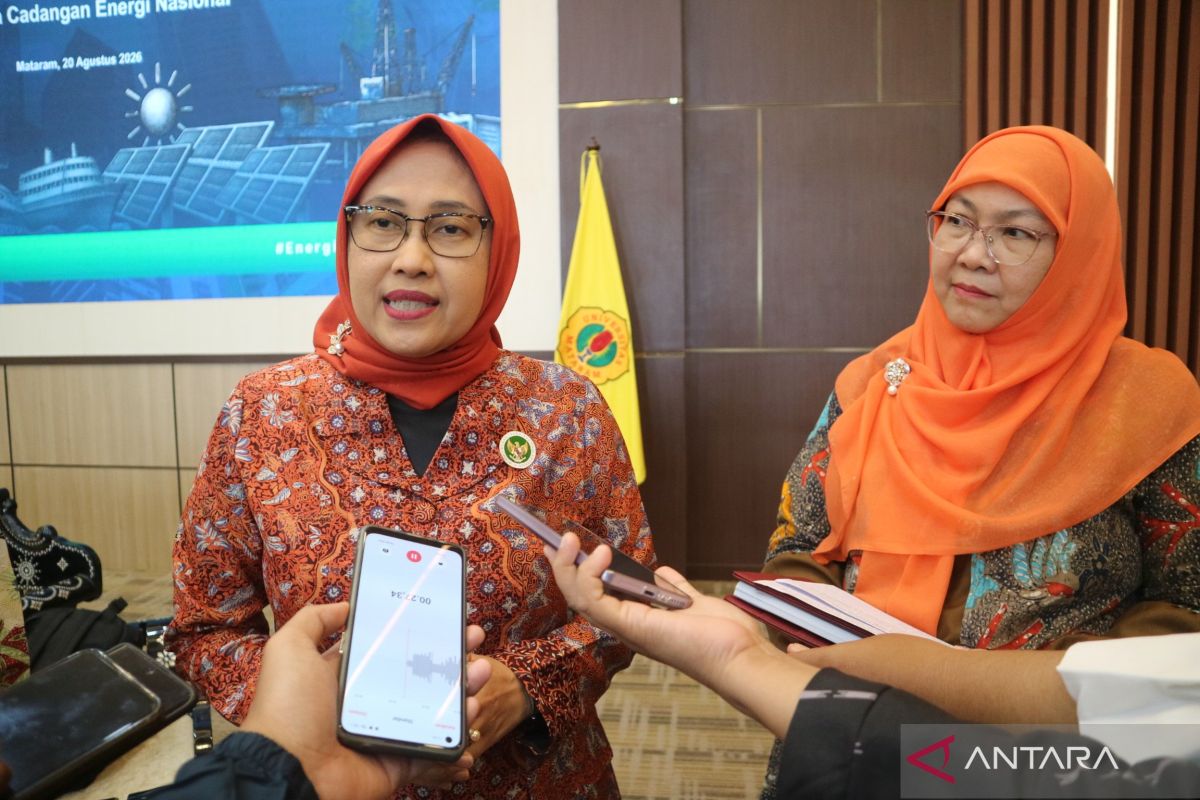 DEN pushes for ocean energy to enter implementation phase