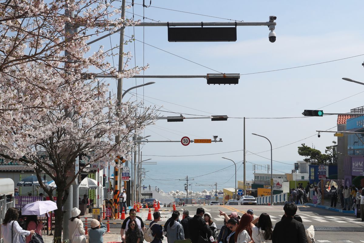 Number of South Koreans aged 100 and over triples