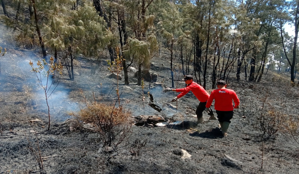 Firefighting Efforts on Mount Arjuno-Welirang Hampered by Fog