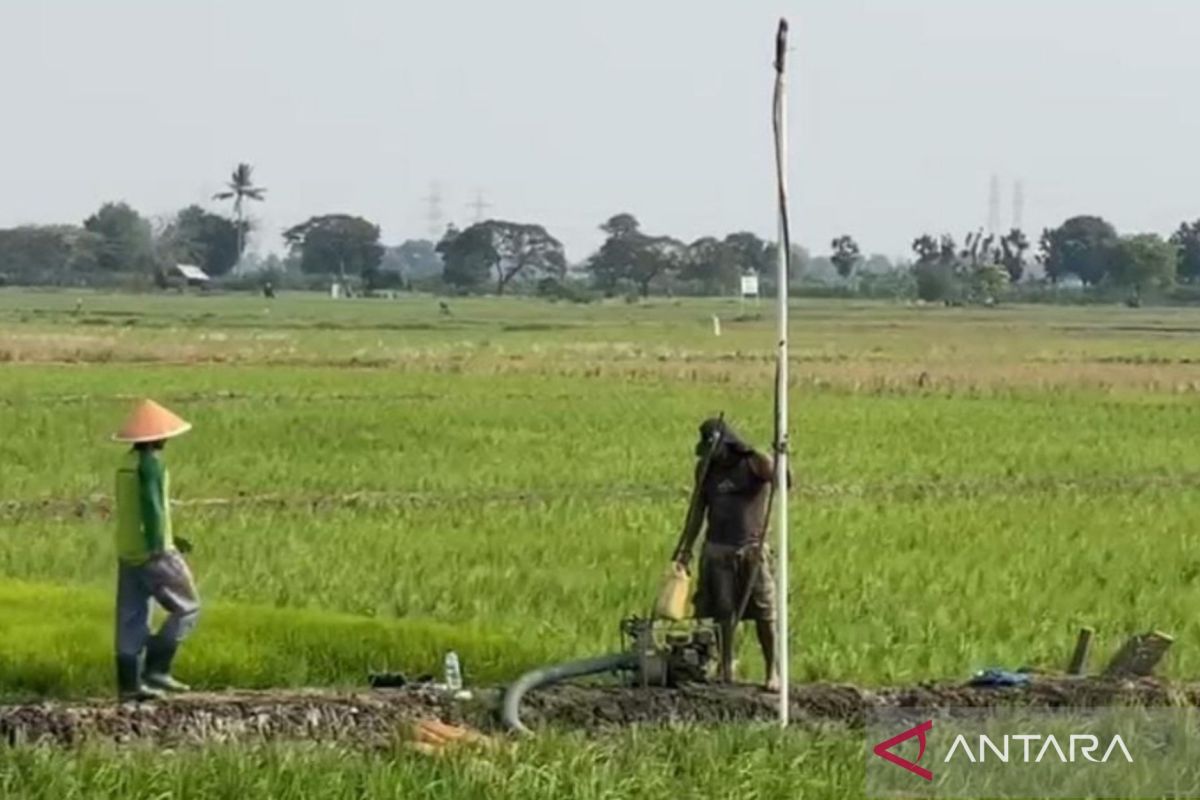 Bekasi Regency Government distributes 5.7 million litres of water to drought-affected residents