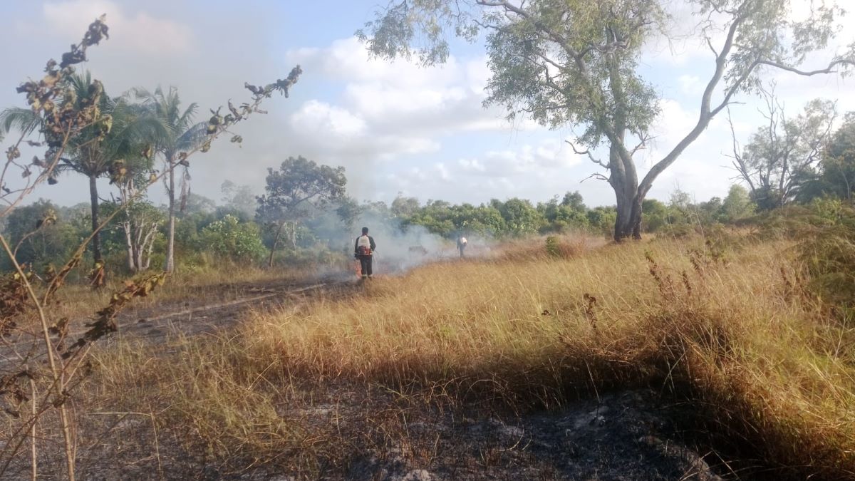 Hundreds of Hotspots Surround Bangka Belitung, BPBD Urges Residents to Be Alert for Forest and Land Fires