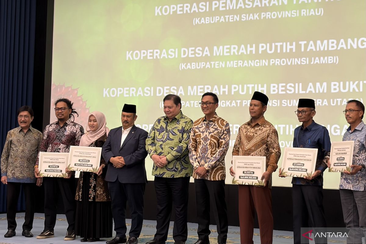 Airlangga: PSR programme important for increasing palm oil productivity