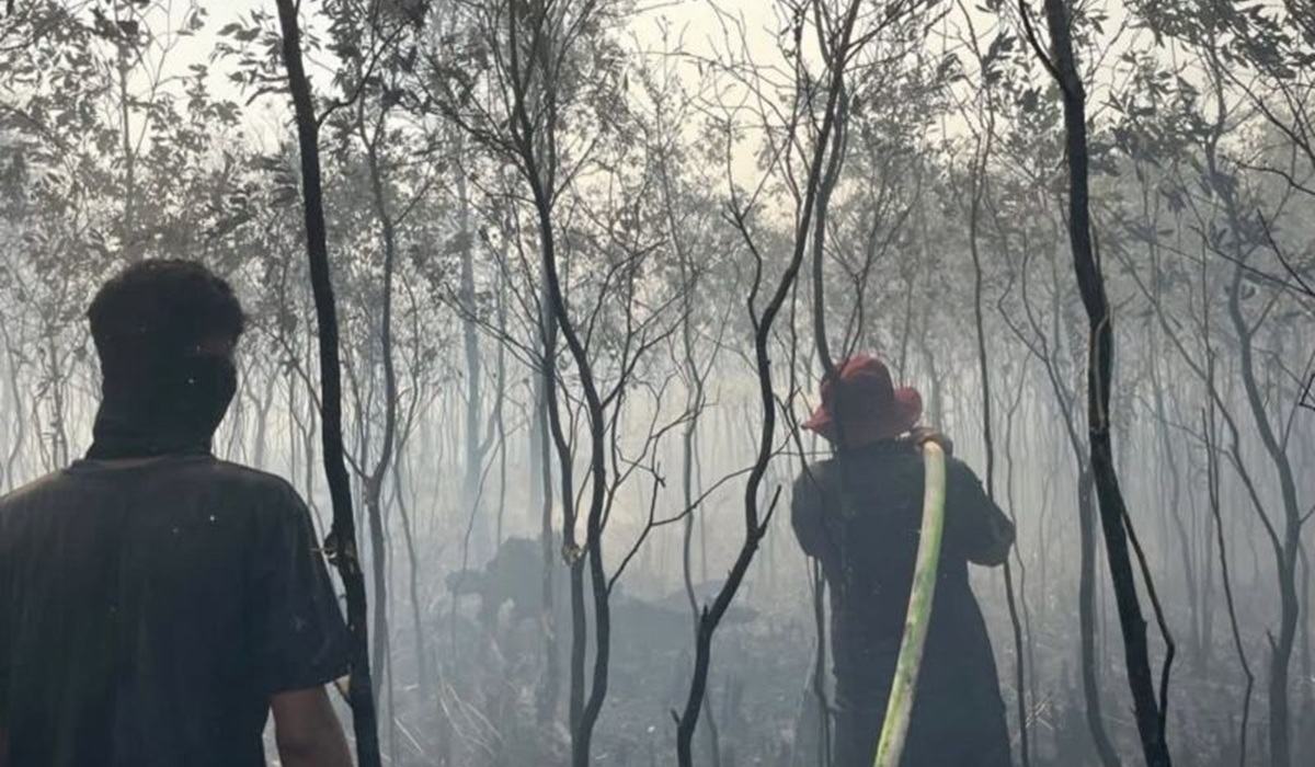 South Kalimantan Forestry Service Deploys Personnel to Prevent Forest Fires from Spreading to Liang Anggang Protected Forest