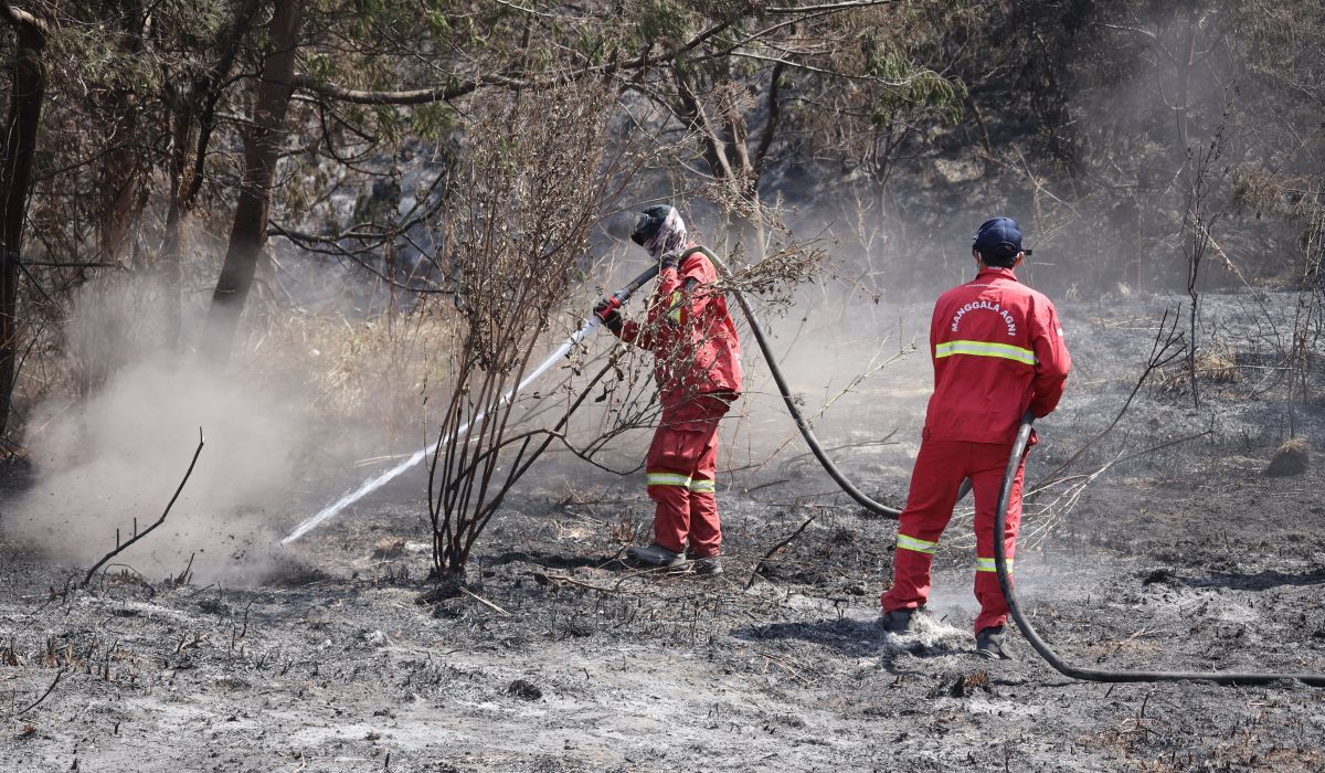 Lumajang BPBD Heightens Forest Fire Alert in Ranupani, TNBTS