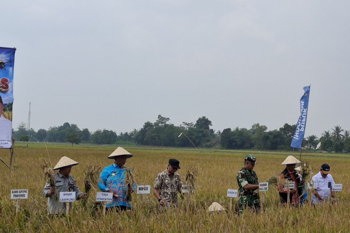 Lampung's PM AAS target reaches 35,100 hectares in 2026