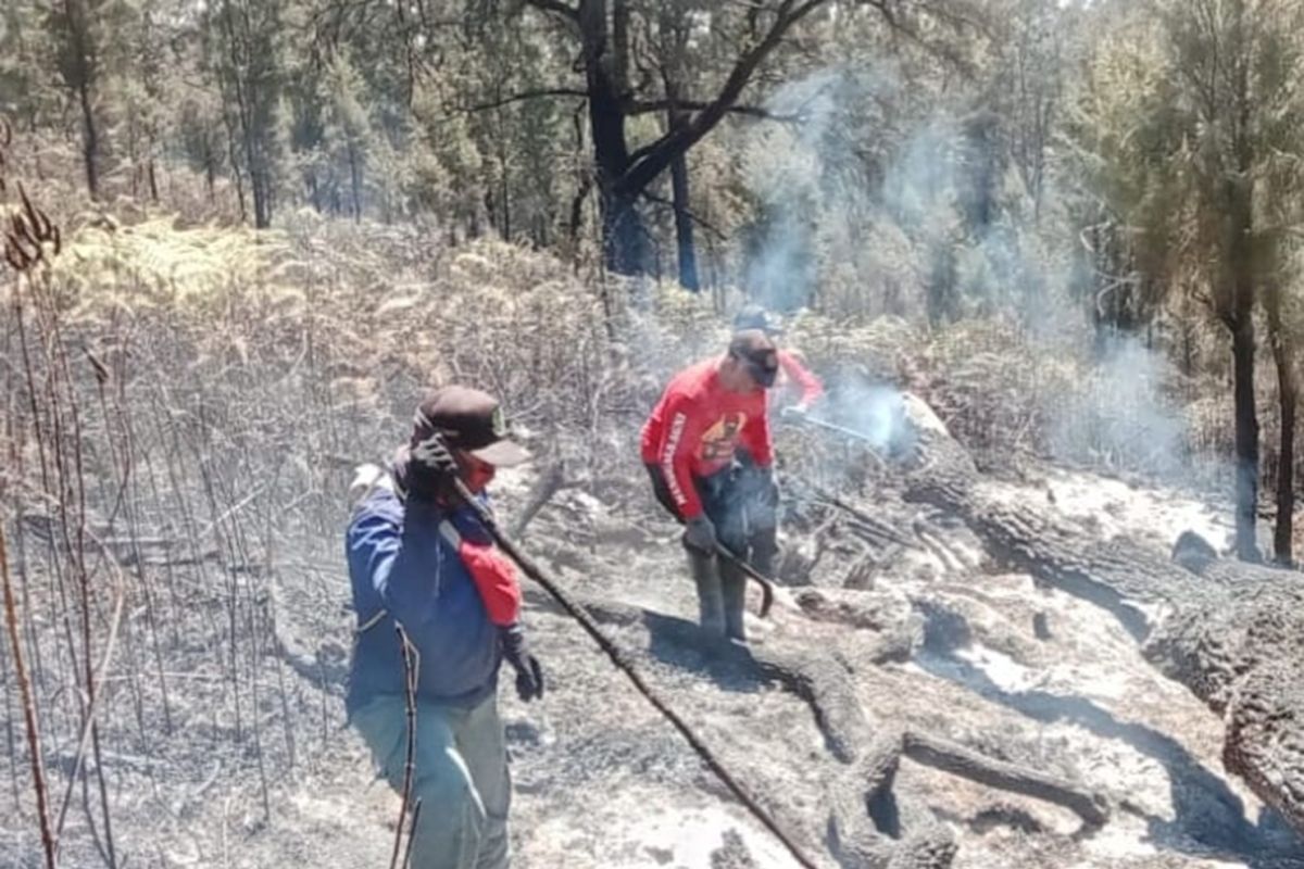 East Java BPBD prepares water bombing to extinguish Arjuno-Welirang forest fires