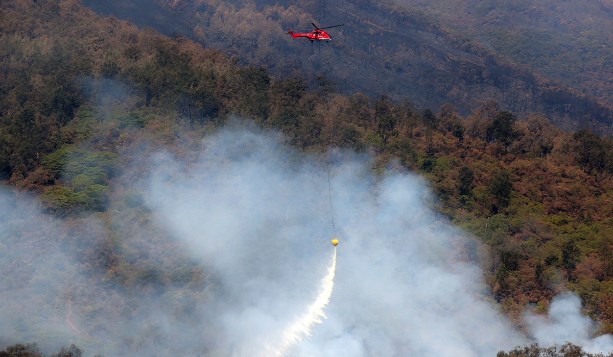 Mount Arjuno Fire: One Hotspot Remains in Raung Deres Area