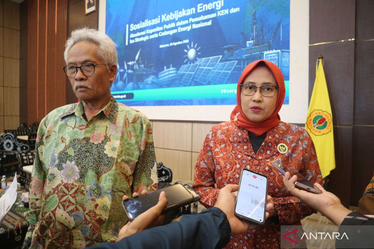 Nuclear energy potential 'dark horse' for net-zero target: DEN