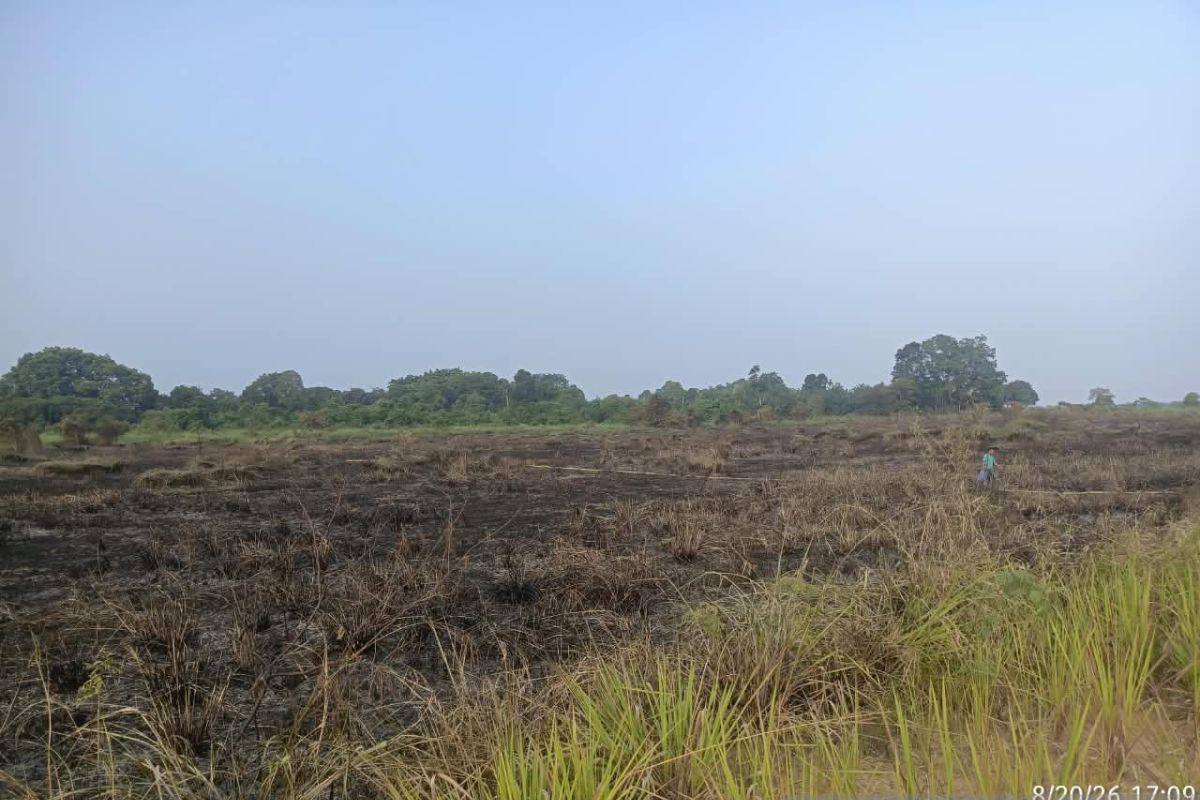 Industrial timber plantation company in Jambi deploys full team to extinguish forest and land fires