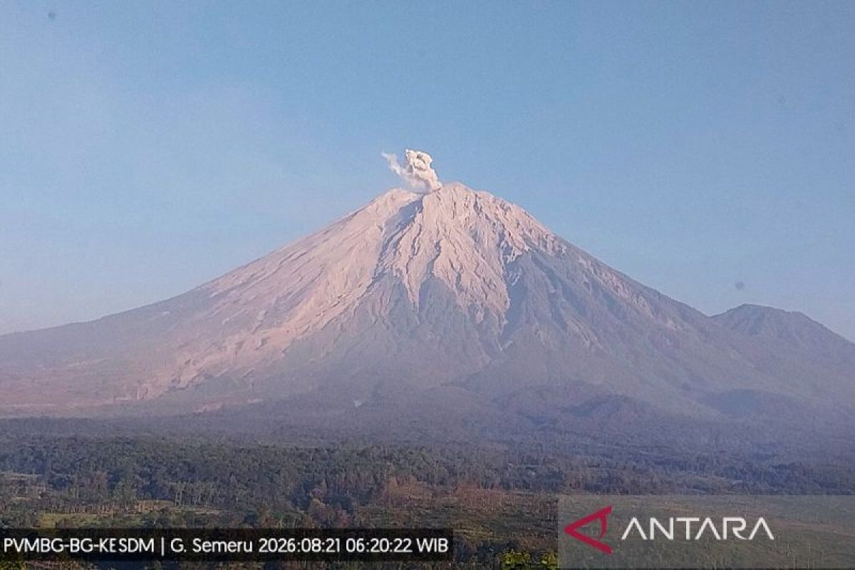 Mount Semeru erupts with ash column 800 metres above summit