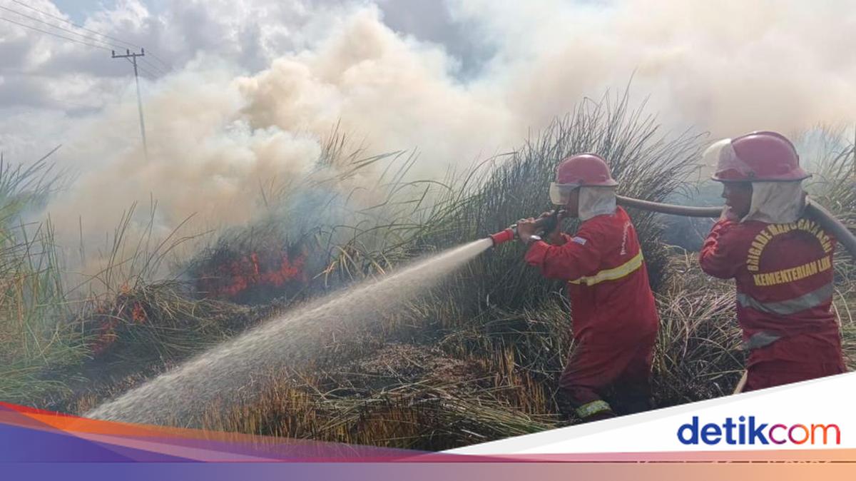 Police Arrest One Perpetrator of Private Land Burning in South Kalimantan