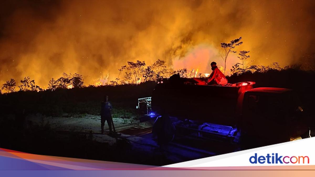 Forest Fire Hotspots in Kalimantan Quadruple in a Single Day