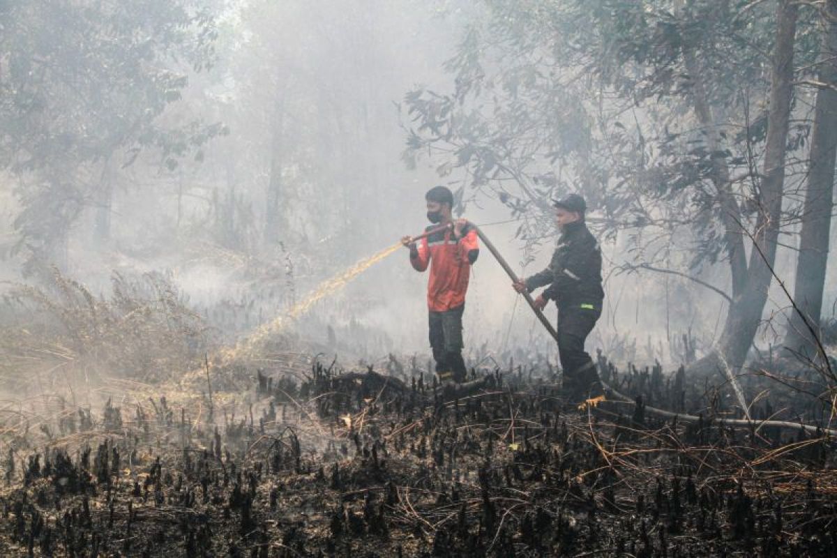 BNPB detects 1,487 hotspots with forest fire potential across Kalimantan