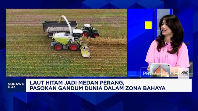Video: Cheap Wheat Supply Disrupted by War, Will Noodle Prices Rise?