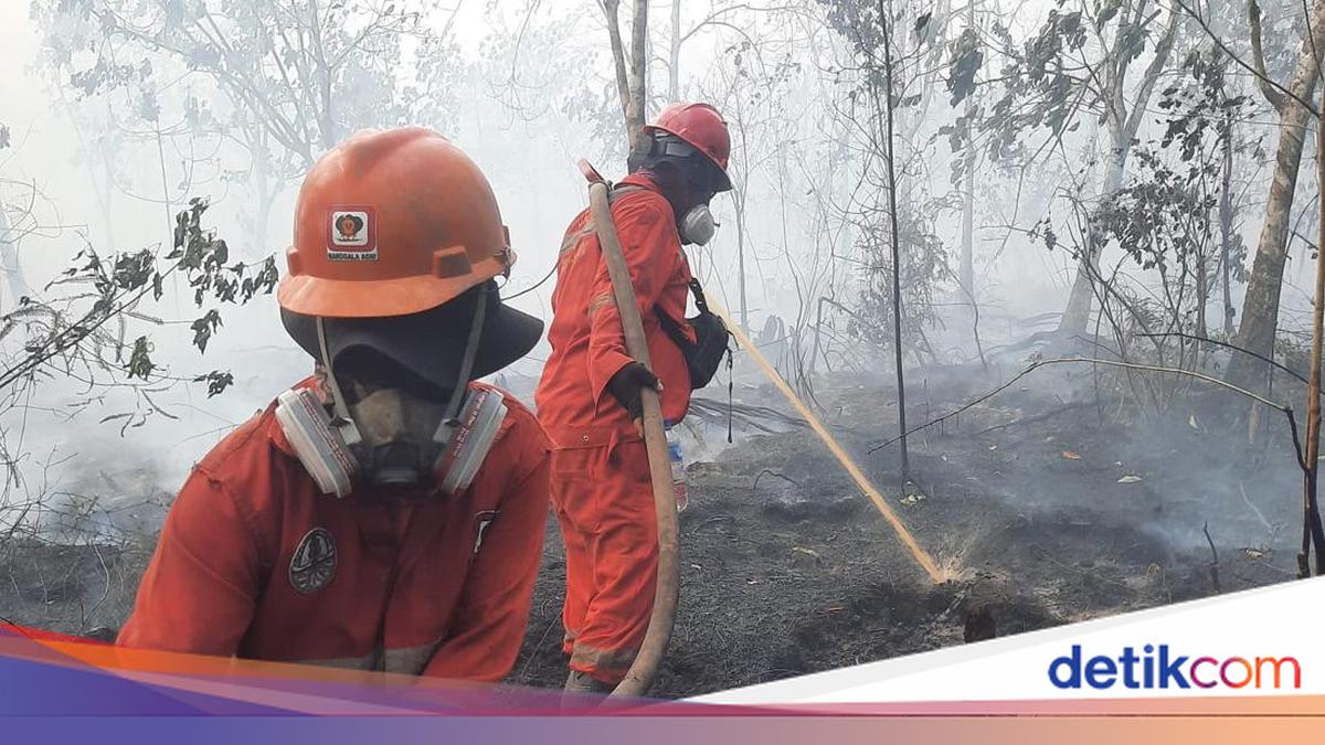 Kalimantan Forest Fires: Government Deploys 12,000 Personnel and Constructs Boreholes