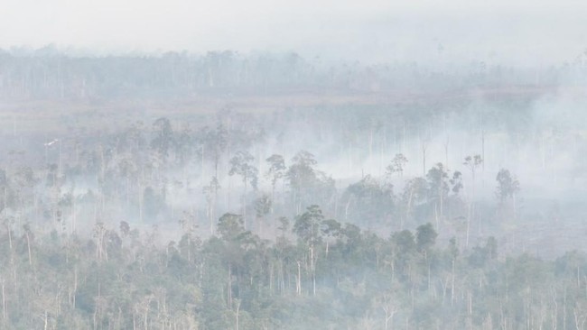 Fires Ravage Indonesia, Firefighters Battle Blazes as Weather Modification Operations Prepared