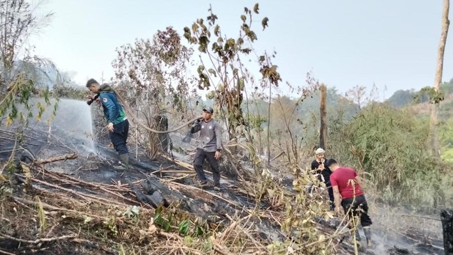 When Will Rain Drench Kalimantan After Severe Fires? Here's What BMKG Says