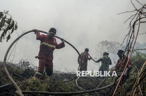 Forest and Land Fires Spread Across Six Provinces