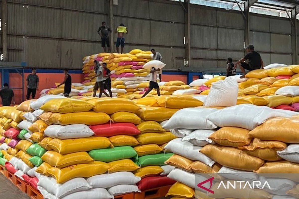 Trade Ministry opens opportunities for expanding Indonesian rice exports