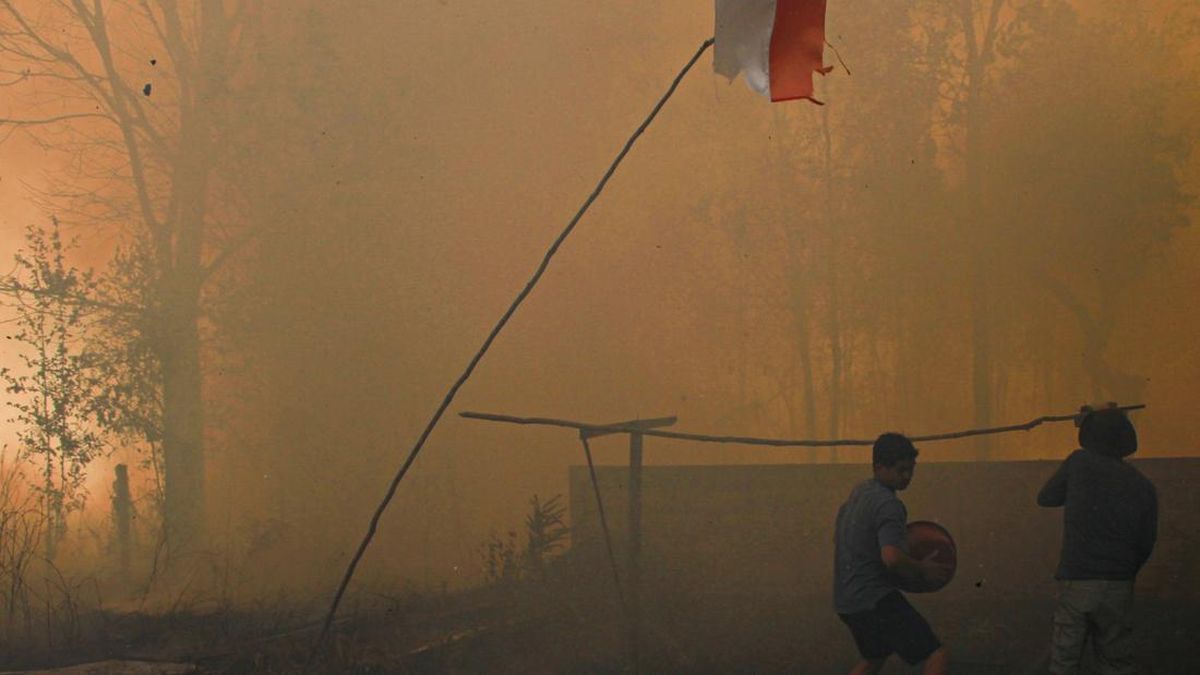 KLH Issues Urgent Forest and Land Fire Instruction to Six Governors