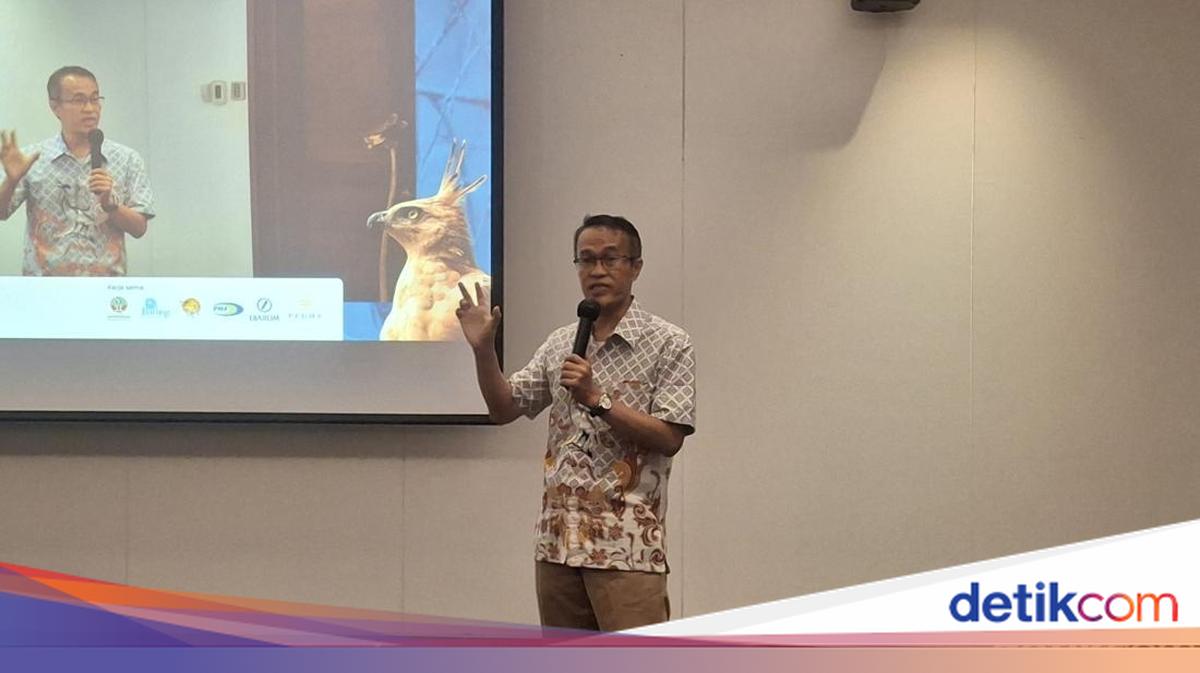 Javan Hawk-Eagle Faces Extinction, Hunted and Sold Online for up to Rp5 Million