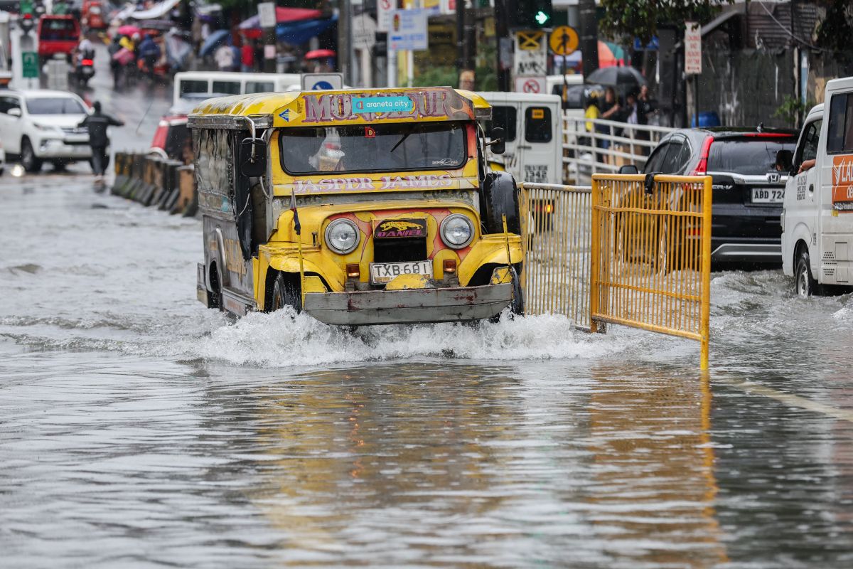 At least 10 people die from leptospirosis in Central Philippines
