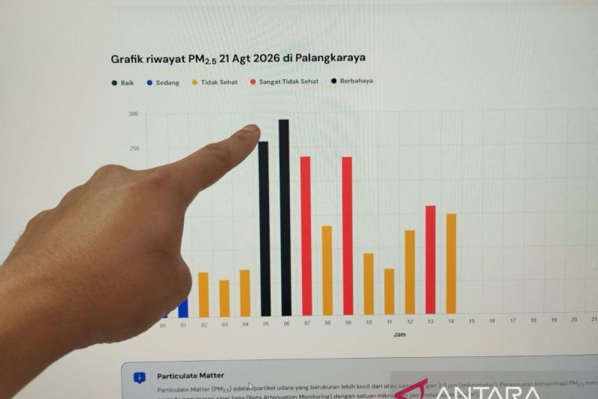 Air quality in Palangka Raya reaches hazardous category