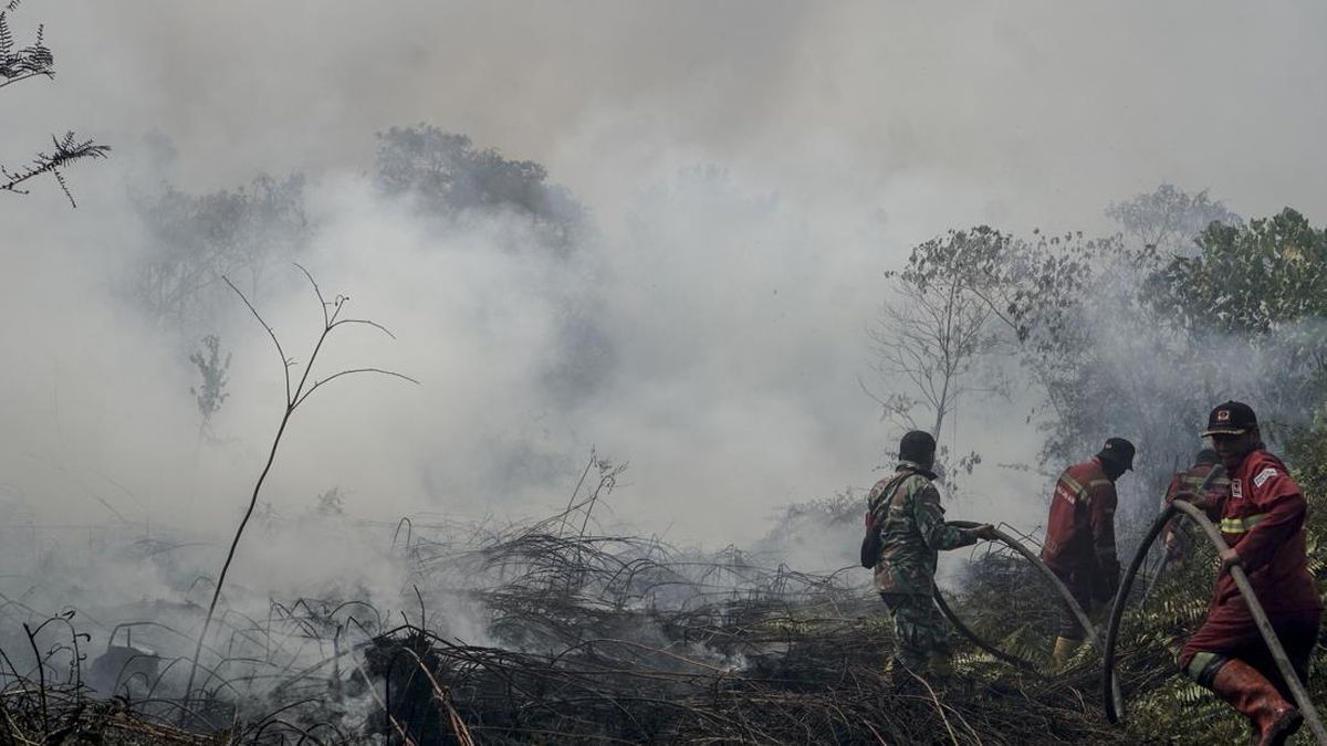 MP Urges Government to Declare Kalimantan Forest Fires a National Disaster