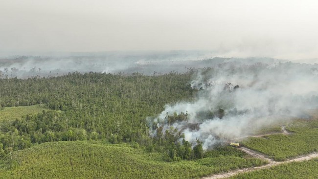 Airlangga Speaks Out on Kalimantan Forest Fires