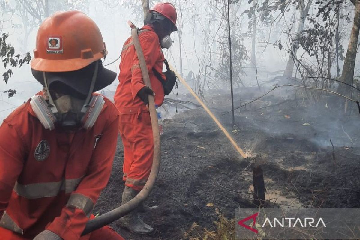 Gov't builds drilled wells to boost forest fire handling in Kalimantan