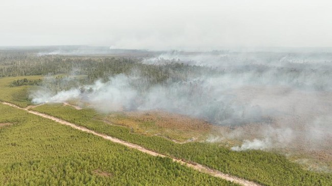 Cabinet Secretary Teddy Provides Latest Update on Kalimantan Forest Fire Suppression