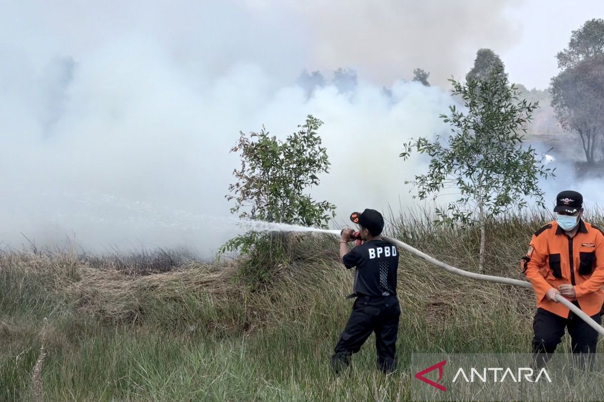 Indonesia urges post-fire reviews to prevent recurring wildfires