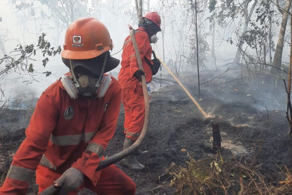 Ministry instructs six governors to step up wildfire response