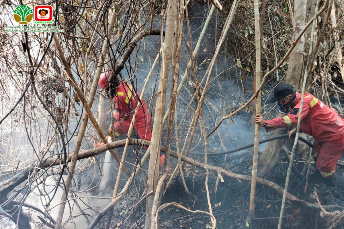 BMKG detects 733 hotspots across Sumatra