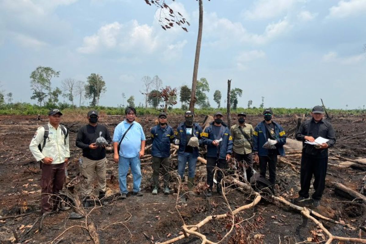Riau police deploy five experts to probe forest fire case