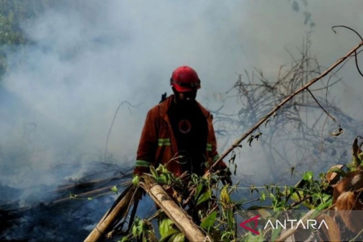East Kalimantan battles 24 hotspots as fire risk rises