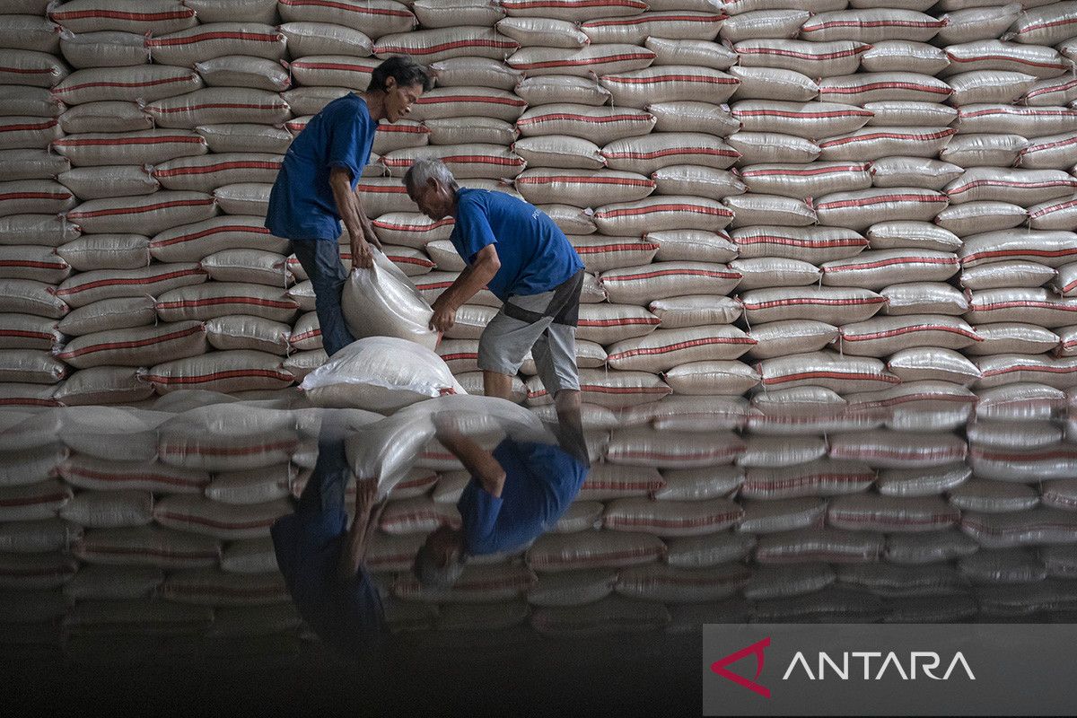 Economist says rice surplus must be followed by equitable distribution