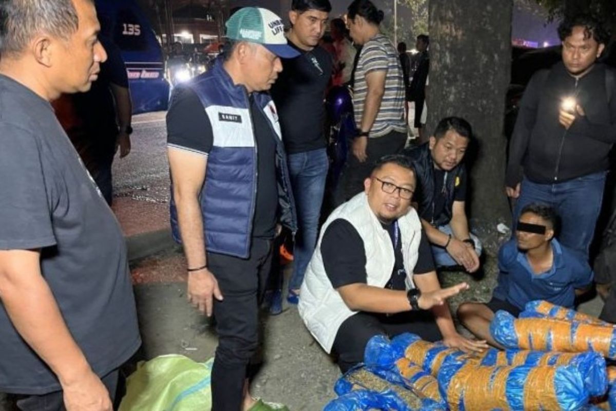 Medan police seize 93 kg of cannabis after car chase