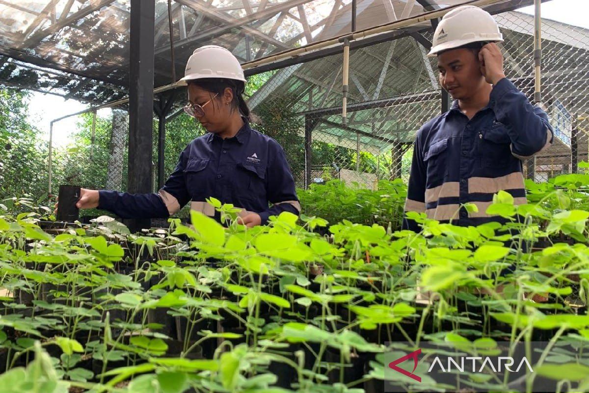 Agincourt Resources develops mycorrhizal bioagents to boost mine land reclamation