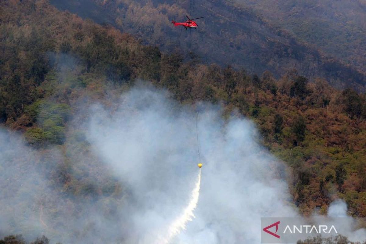 All hotspots and forest fires on Mount Arjuno-Welirang extinguished