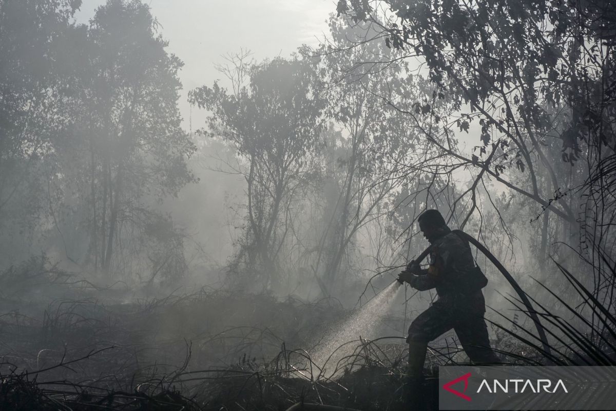 TNI mobilizes 14,167 soldiers to support firefighting operations